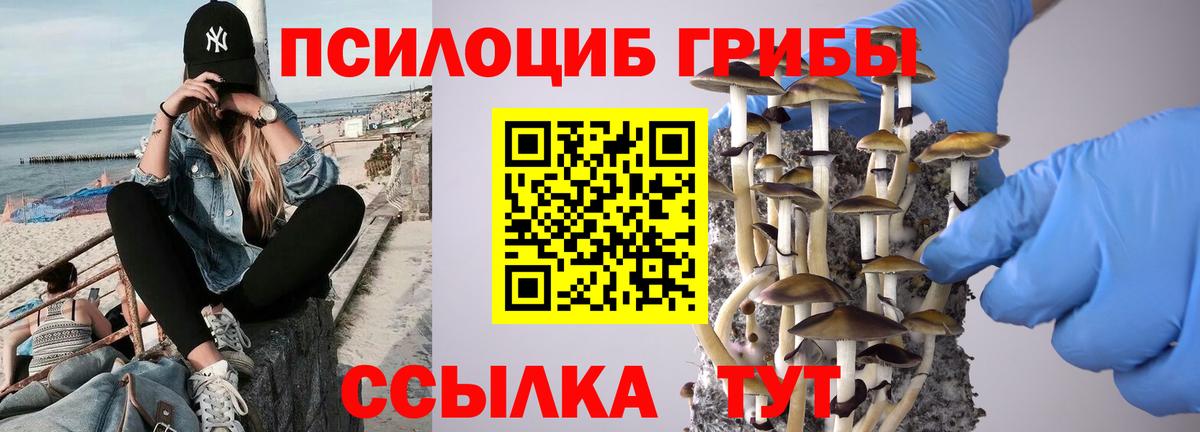 Галлюциногенные грибы Magic Shrooms  Галлюциногенные грибы Psilocybine cubensis  Бузулук  Вход с VPN 